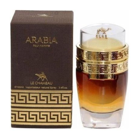 Arabia Pour Homme 100ml